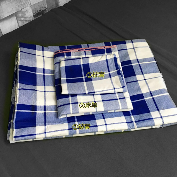 
		自动人像机
	(图1)